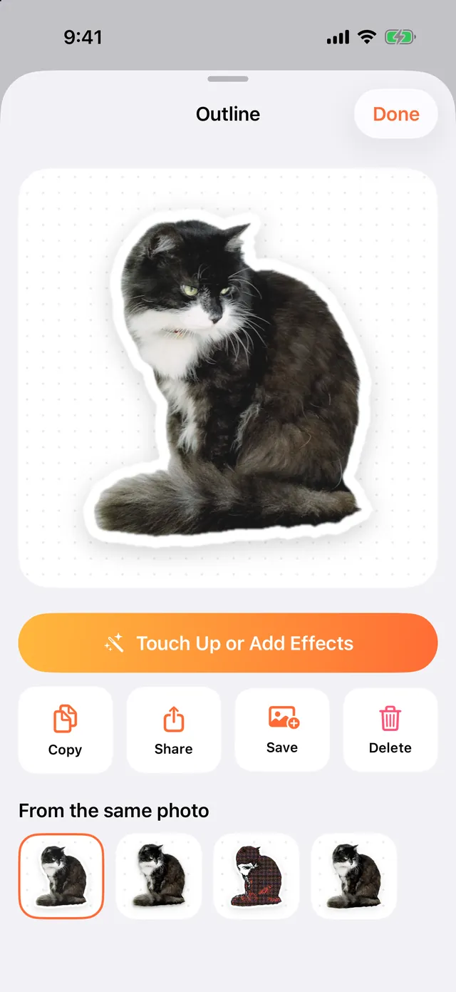 A cat sticker with a white outline on its own page, with Touch Up or Add Effects, Copy, Share, Save and Delete, and four versions from the same photo below.