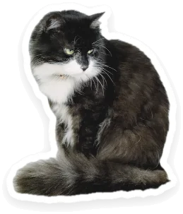 The cat with a white die-cut border.